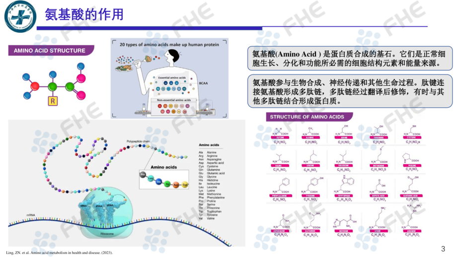 氨基酸-营养与康复之源-江南大学附属医院营养科+张烽